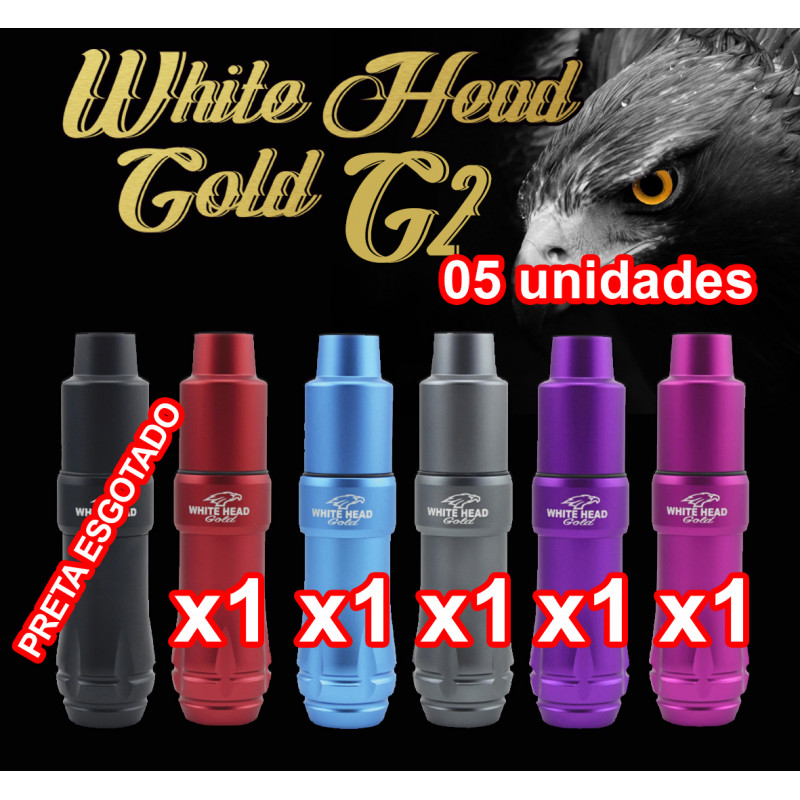 KIT 5 CORES PEN WHITE HEAD GOLD  (G2) REF: PK208 ( 5 unidades)